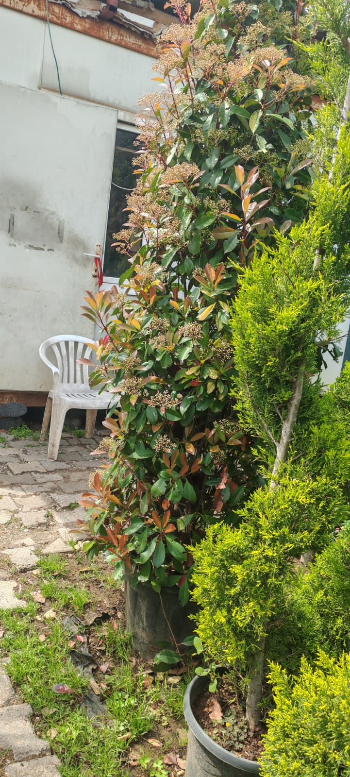 Verdena Peyzaj Lüks Dış Mekan Proje Çalışması Fotoğrafı